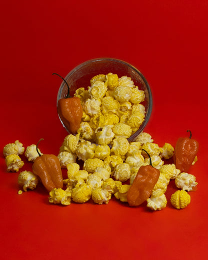 Cilindro Palomitas Mecha Corta (Habanero)